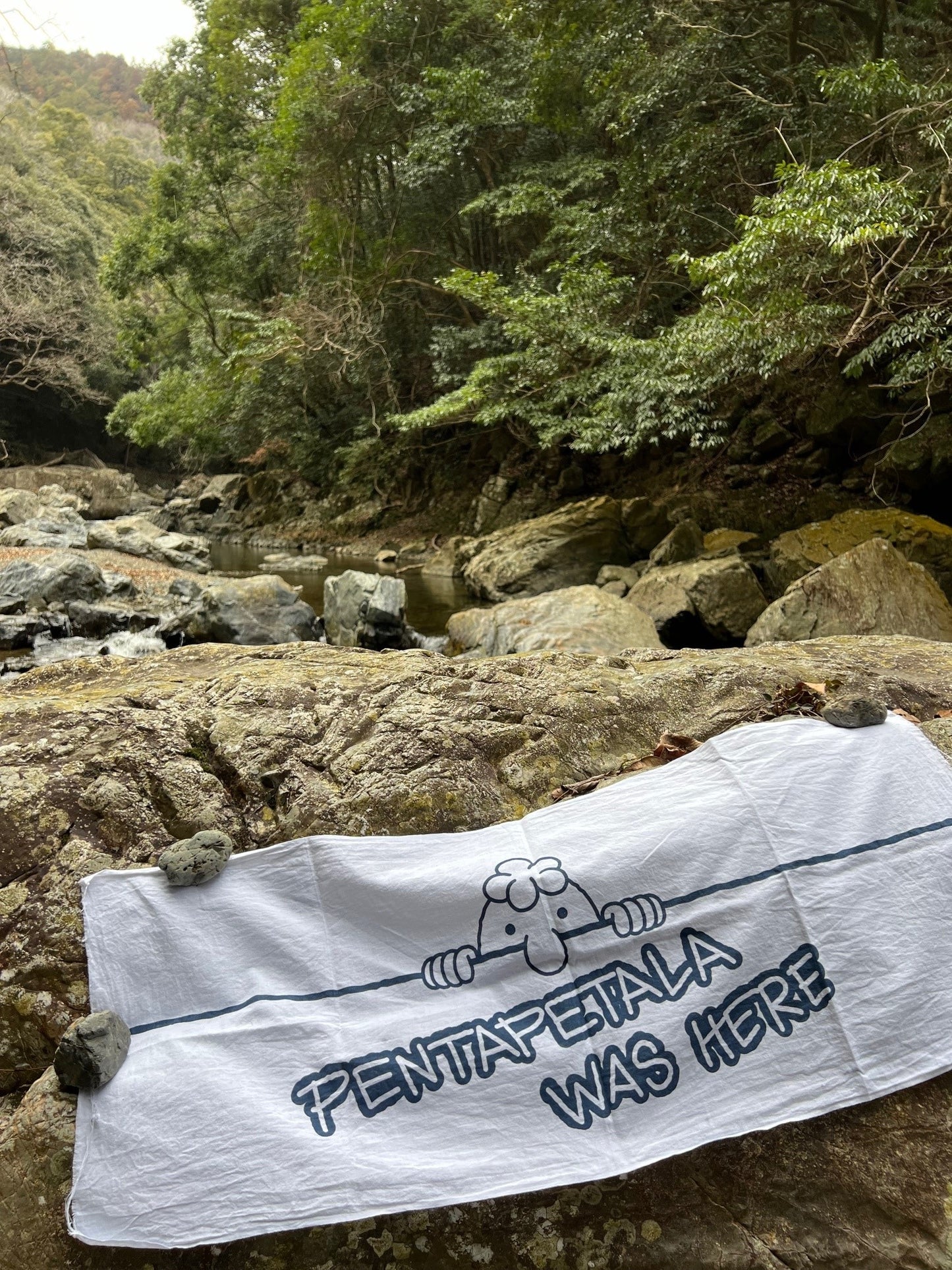 pentapetala was here 手ぬぐい